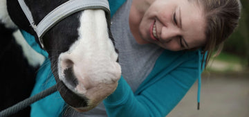 Pferde im Winter: TCM-Unterstützung mit Akupunktur und Moxa