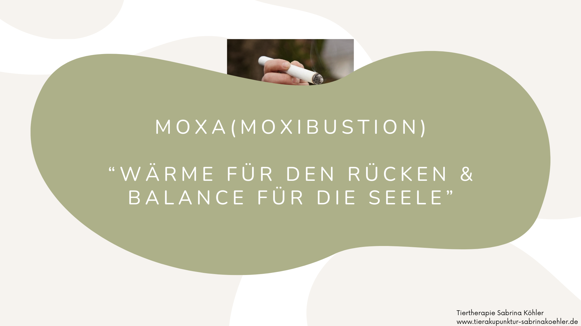 Onlinekurs: „Moxa – Wärme für den Rücken & Balance für die Seele“