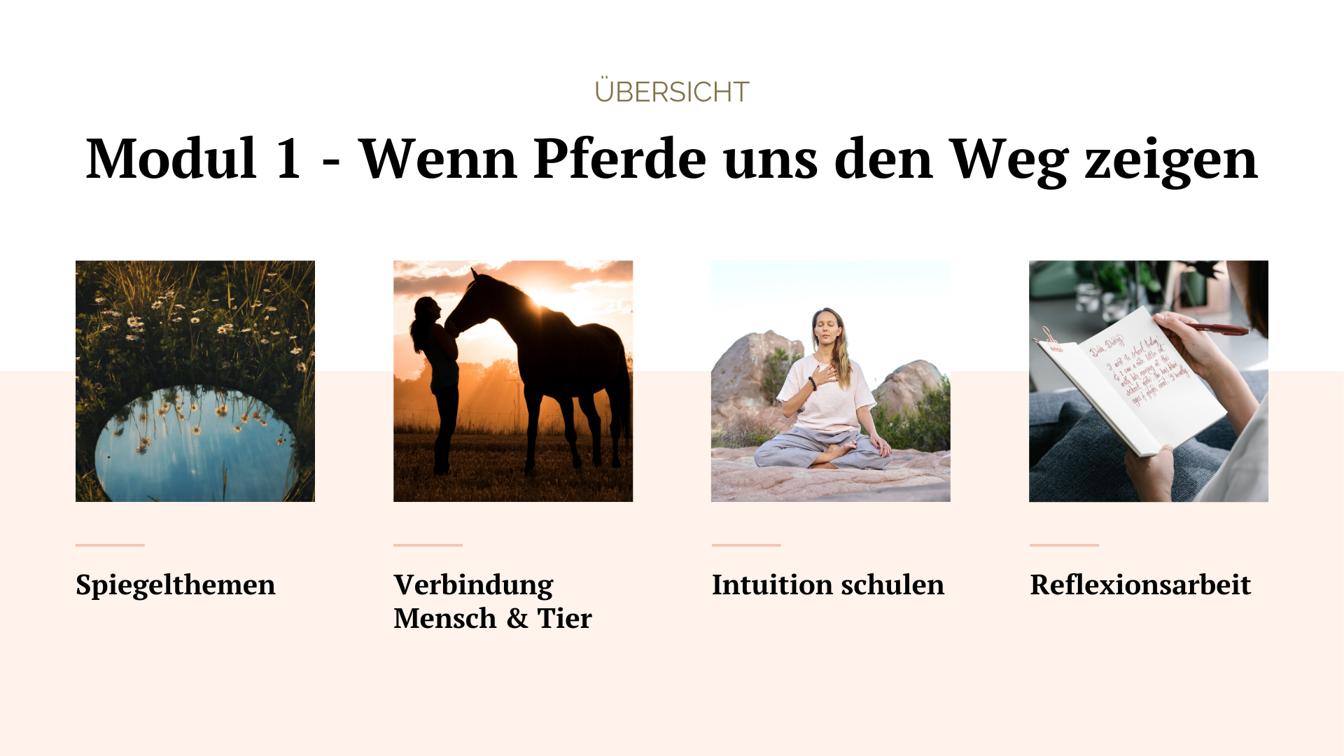 Kostenloser Onlinekurs für Tierkommunikation: „Wenn Pferde uns den Weg zeigen“